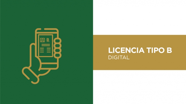 Digitalización de la licencia Tipo B para taxistas